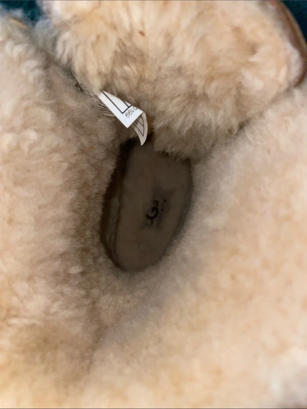 UGG Adirondack II boots